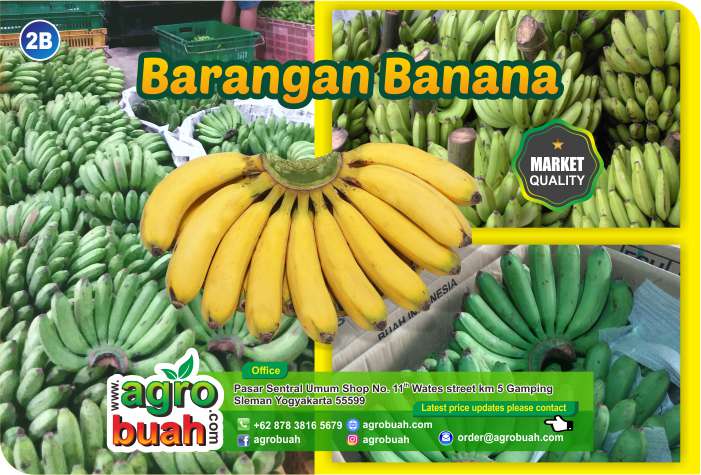 banana supplier