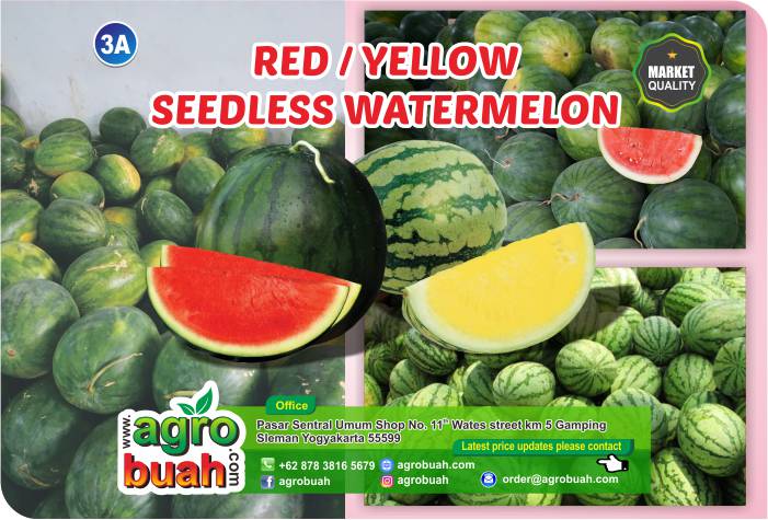watermelon supplier